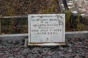 Harvey Joseph Knockroe
